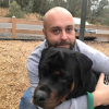 Icon showing author of the current post: AdamMok